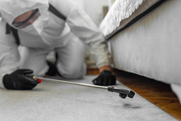 Professional Termite Control technician working in Norton, KS