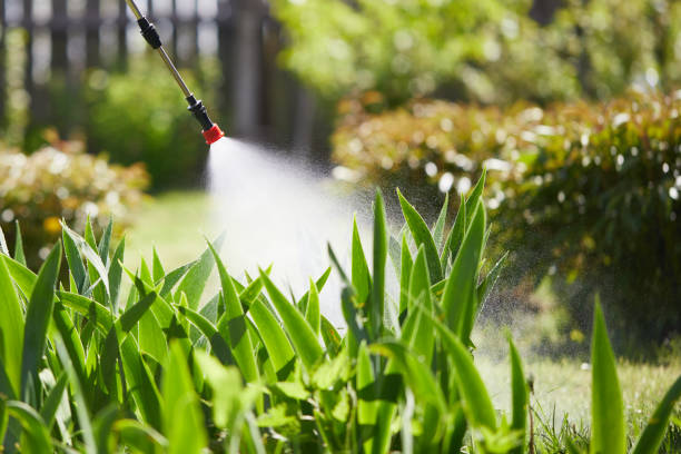 24/7 Emergency Termite Control experts in Norton, KS