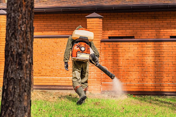 Top rated local Termite Control specialists in Norton, KS